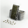 Gamers Grass: Laser Plants - Dumb Cane - Difenbachia (47szt.)